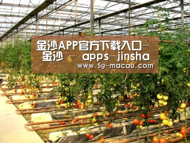 种植基地二